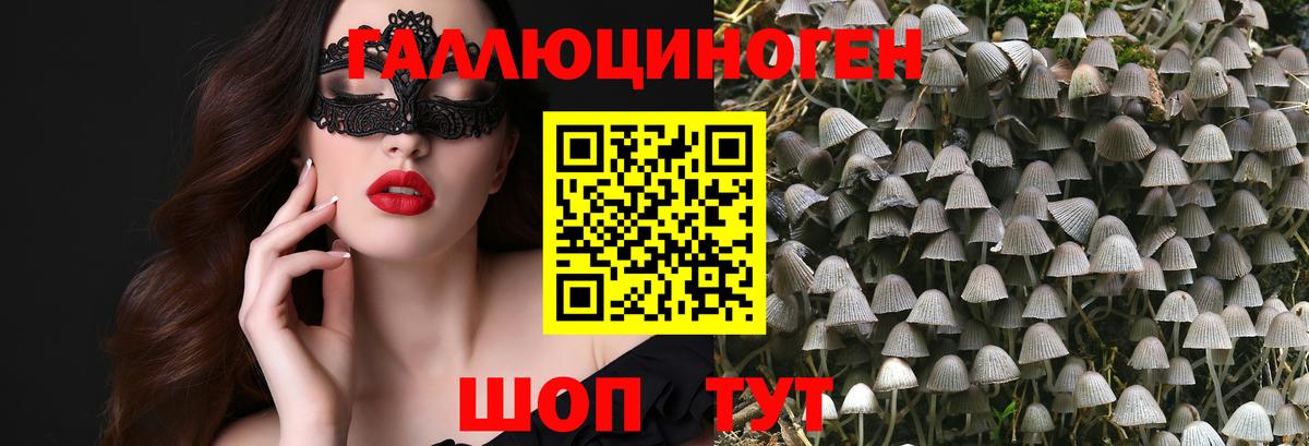 Псилоцибиновые грибы MAGIC MUSHROOMS Борзя